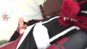 Deadpool Furry in maid outfit plays with a new toy