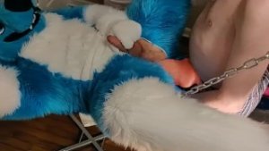 Fizzy tries a new toy in the sling