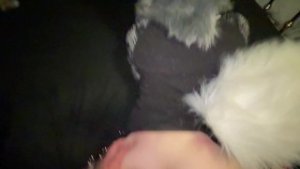 FURRY WHUSKY BOY GETS FUCKED RAW & VIBED (Murrsuit)