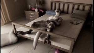 H0rs3 – compilation self fuck