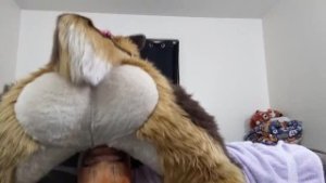 Not Giving That Slutty Fox a Break