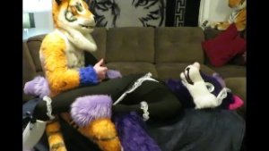 Tiger Tops Wolf