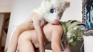 Getting intimately and roughly pounded by a Femboy Lynx in my Tiger Fursuit (@ZuckrisAD)