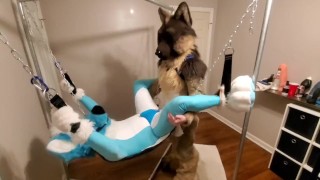 Getting knotfucked in the sling by a hung shep