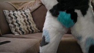 Milking my Dragon Cock for Milk