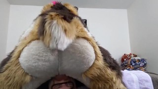 Slutty Fox is a Firehose Again