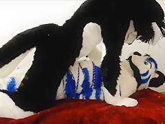 Fursuit sex 115