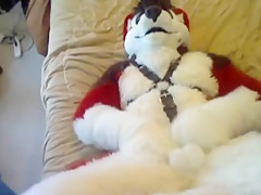 Fursuit sex 67