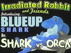 Blueup Shark in Shark vs Orca Whale fursuit inflation blowup