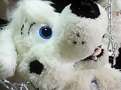 Fursuit sex 113
