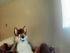 Fursuit sex 136