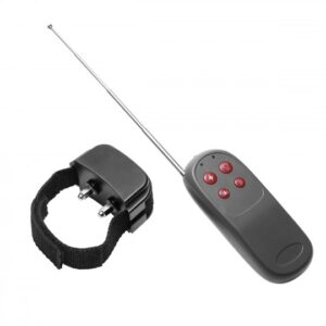 Cock Shock Remote CBT Electric Cock Ring Code: AE237