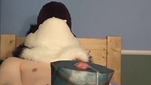 Dragon Murrsuiter prematurely cums using bad dragon but keeps going