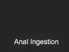 Red Wine Enema and