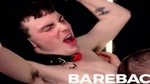 Bound Twinks submissive bottom plowed by horny dom tight ass