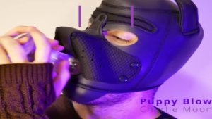Teaser – Puppy BLOWJOB