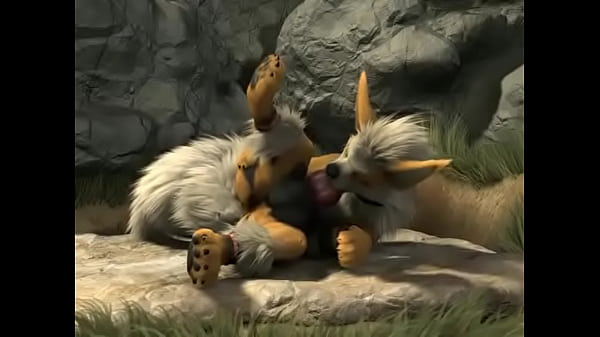 Furry drac solo fun
