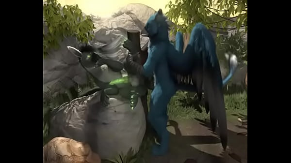 The bird fest